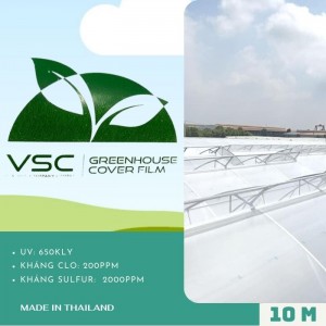 Màng nhà kính Thái Lan - VSC khổ 10m x 50m